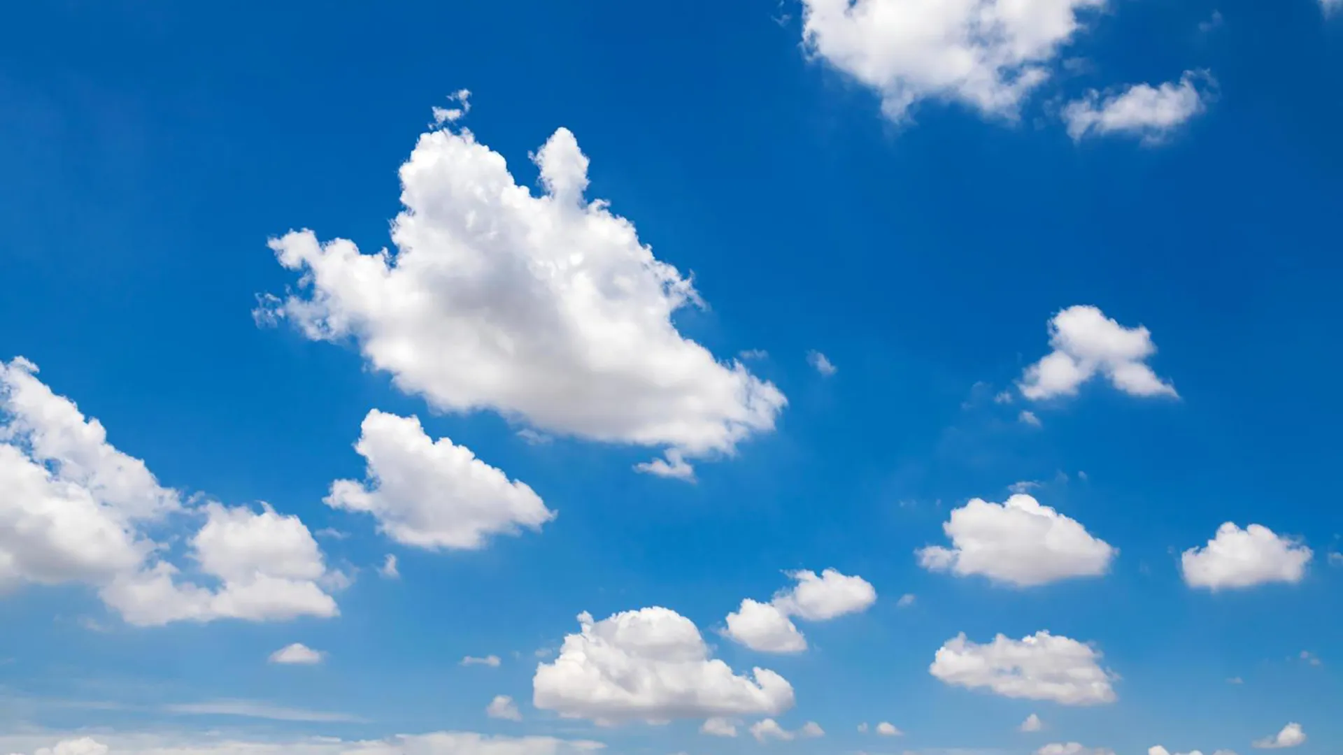 for_who.section2.image_alt